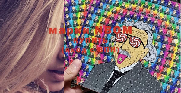 PSILOCYBIN Бикин