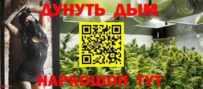 сатива Изобильный