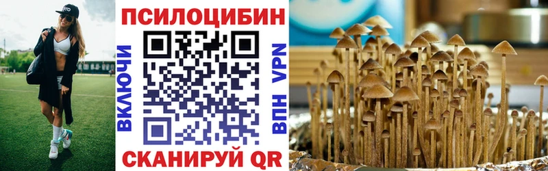 закладка  Лесозаводск  Псилоцибиновые грибы мухоморы 