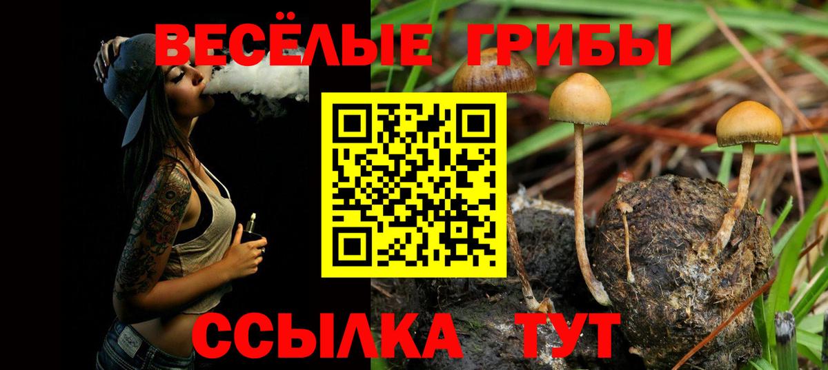 Псилоцибиновые грибы Magic Shrooms  Вход с VPN  Лесозаводск 