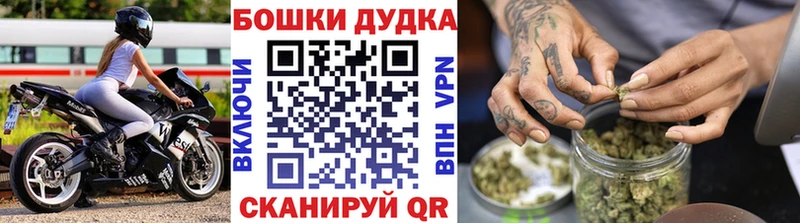 Марихуана Bruce Banner купить наркоту Лесозаводск